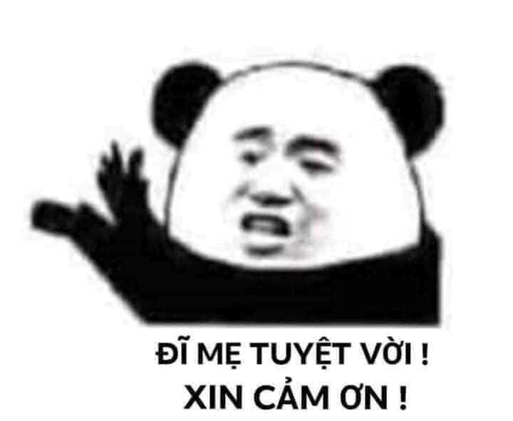 Meme Cảm Ơn 