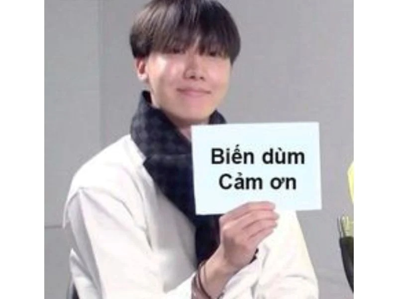 Meme Cảm Ơn 