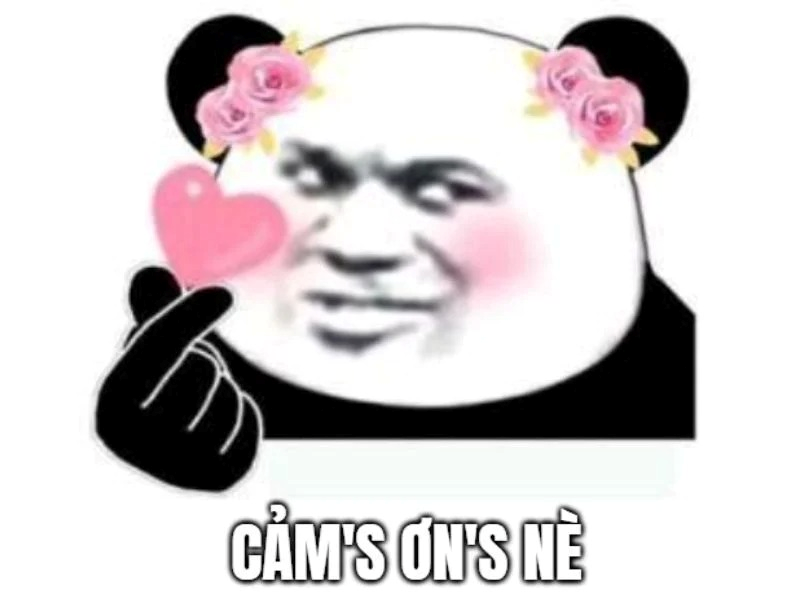 Meme Cảm Ơn 