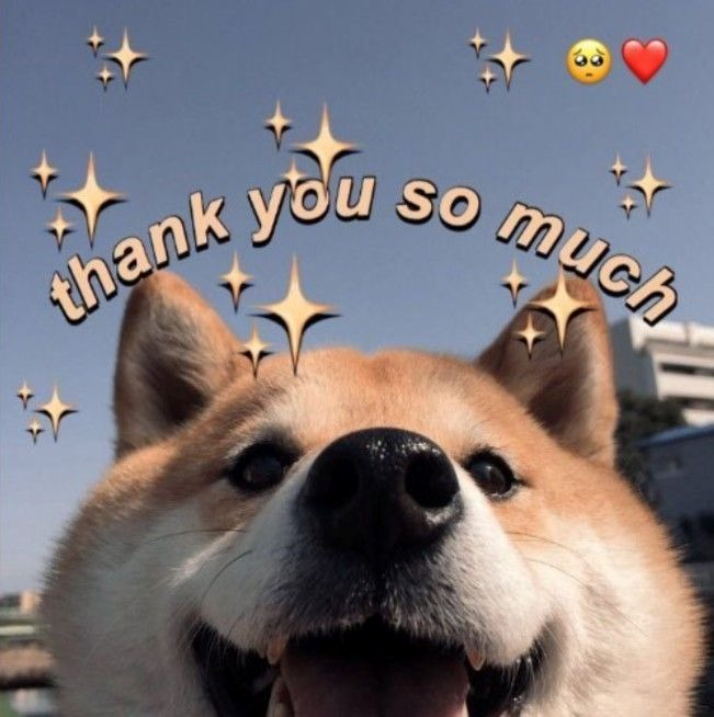 Meme Cảm Ơn 