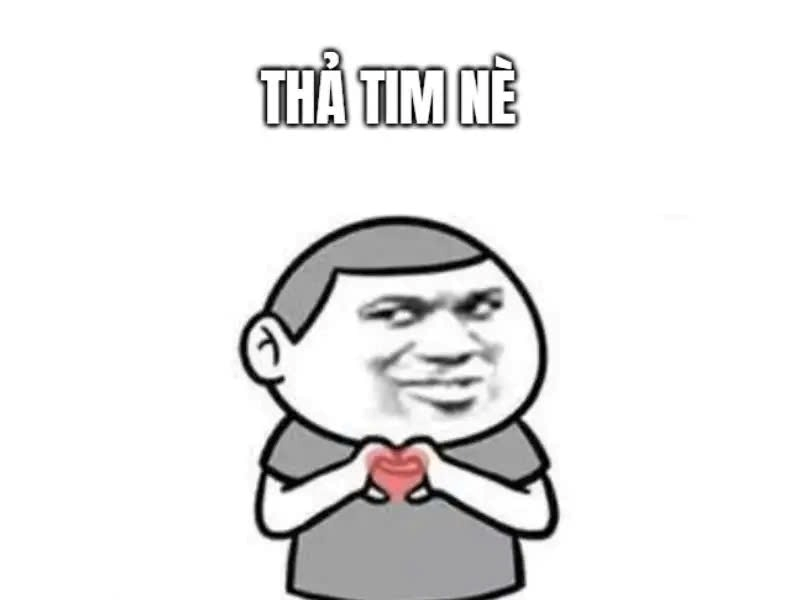 Meme Cảm Ơn 