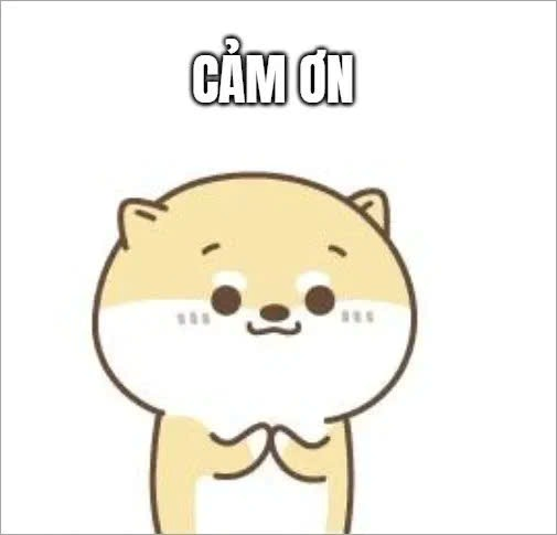 Meme Cảm Ơn 