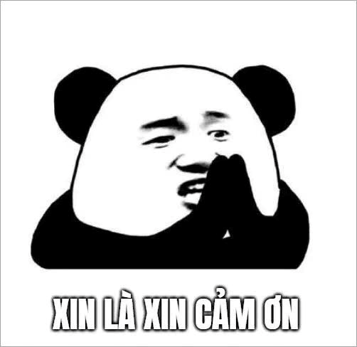 Meme Cảm Ơn 