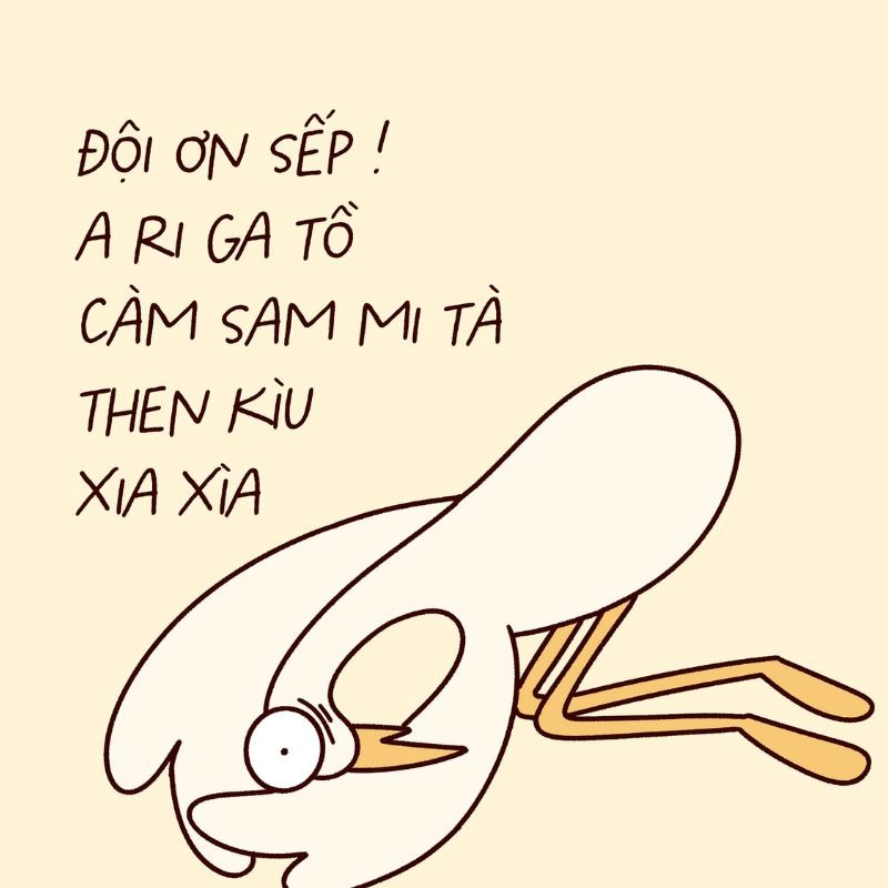 Meme Cảm Ơn 