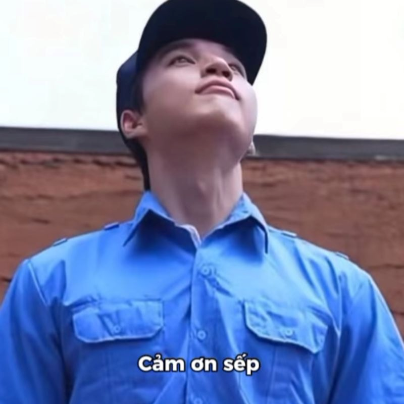 Meme Cảm Ơn 