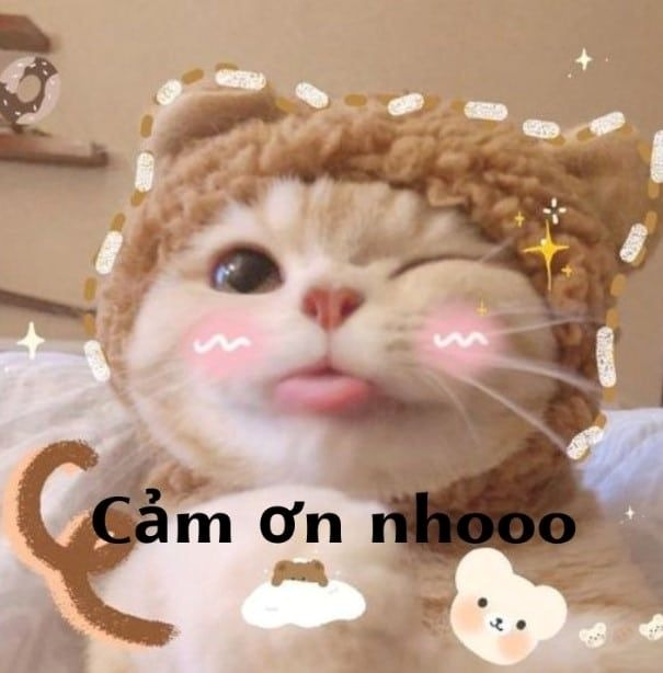 Meme Cảm Ơn 