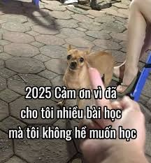 Meme Cảm Ơn 
