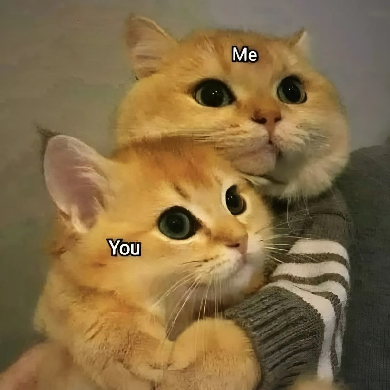 meme cute