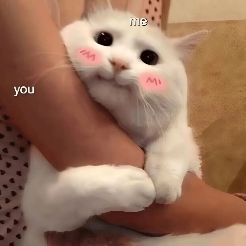 meme cute