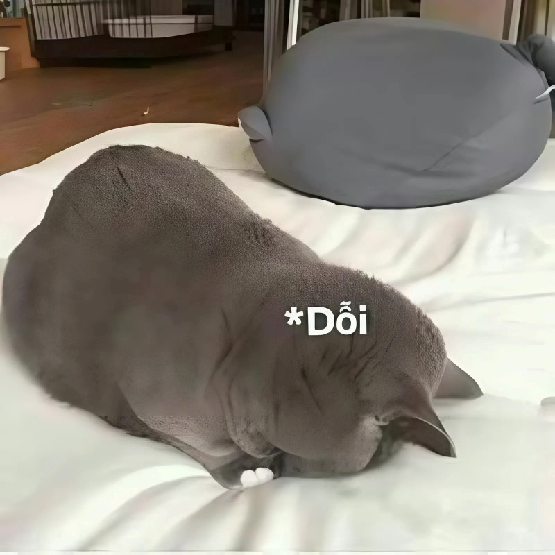 meme cute
