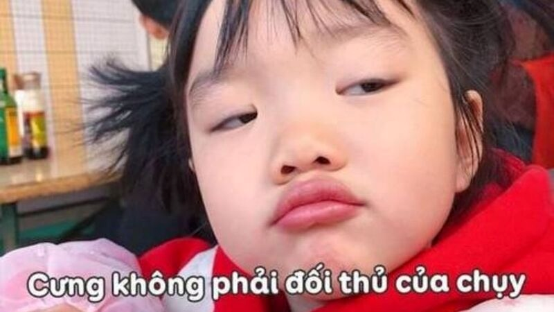 meme cute