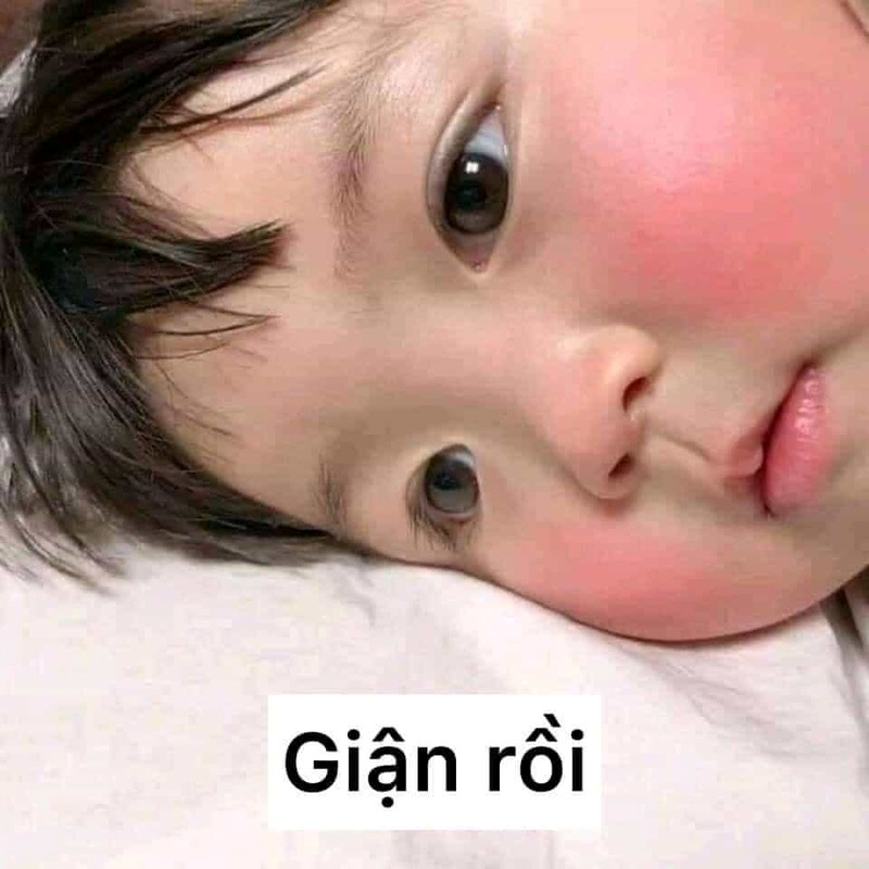 meme cute