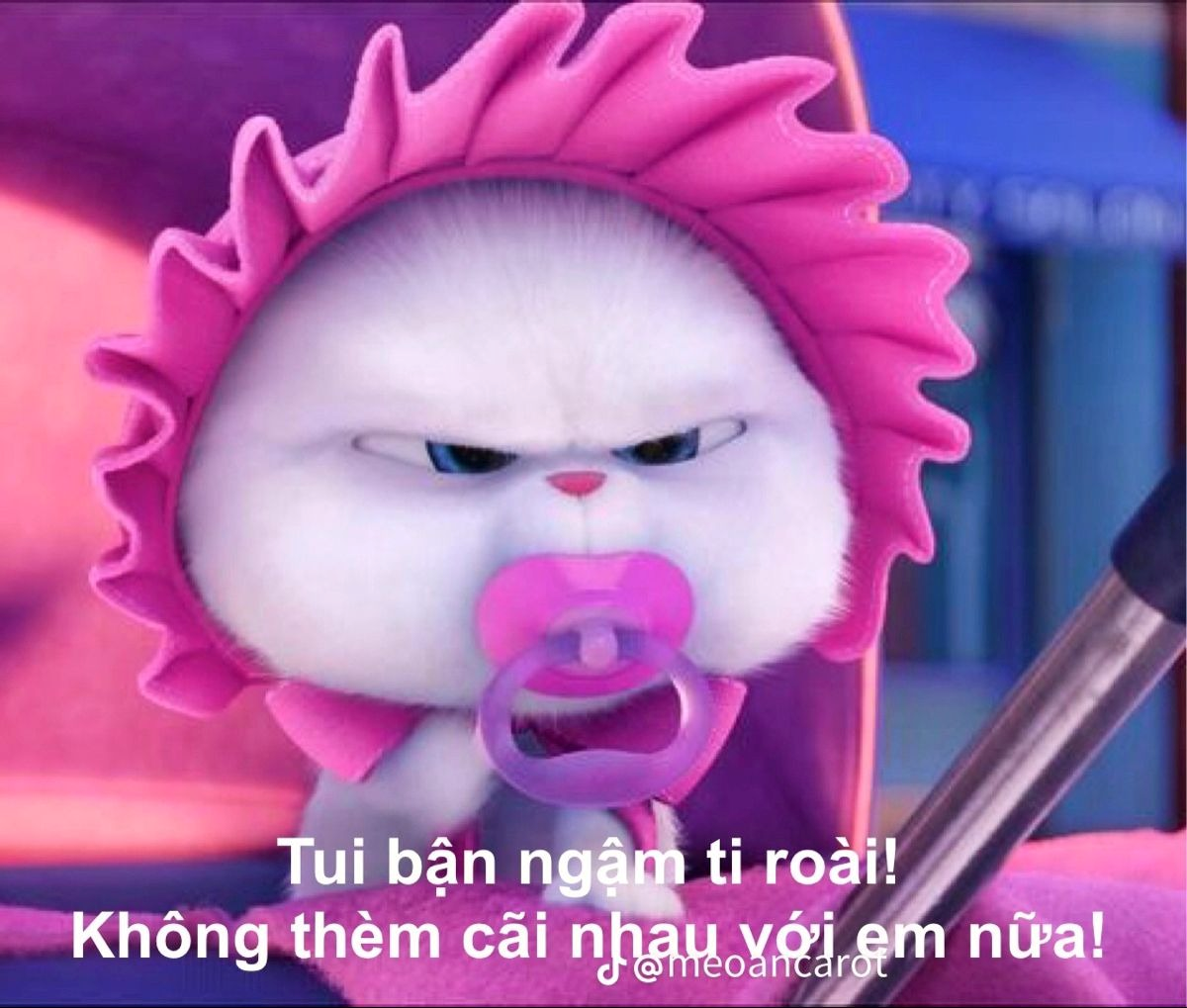 meme cute