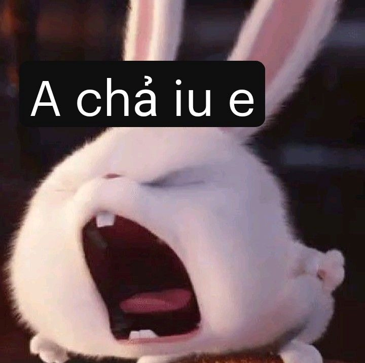 meme cute