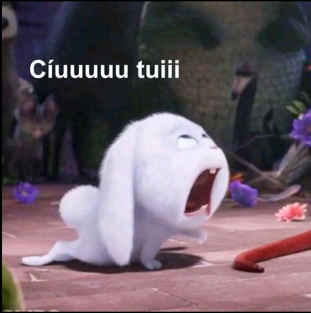 meme cute