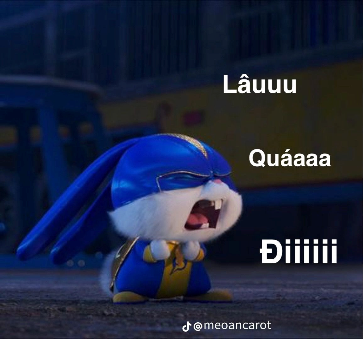 meme cute