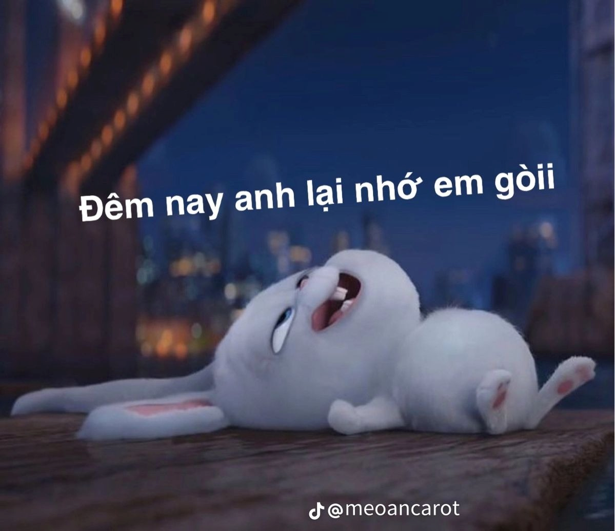meme cute