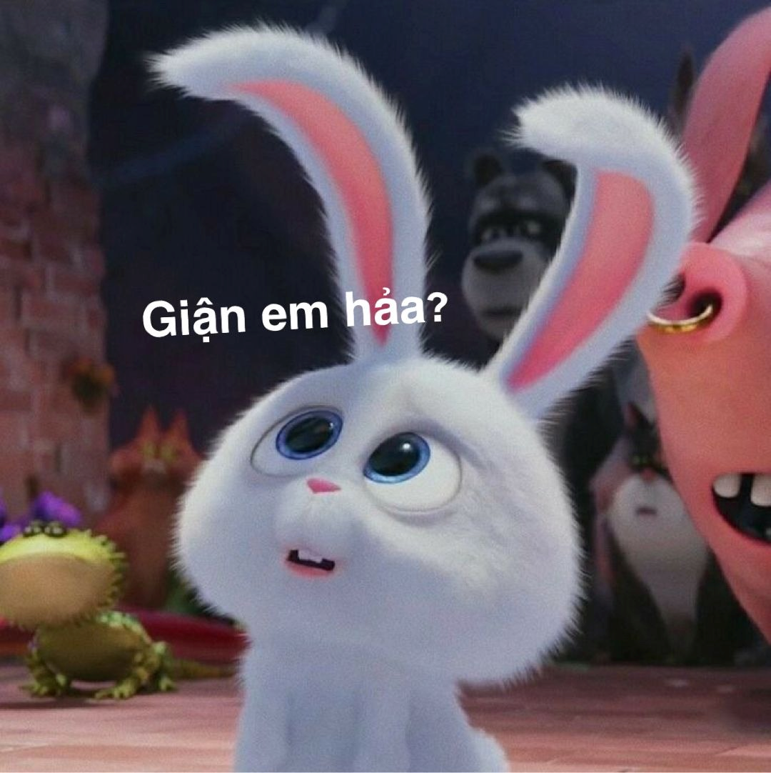 meme cute