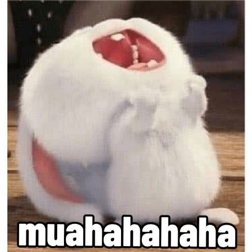 meme cute