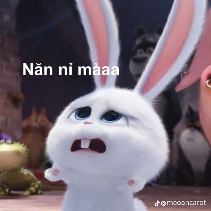 meme cute