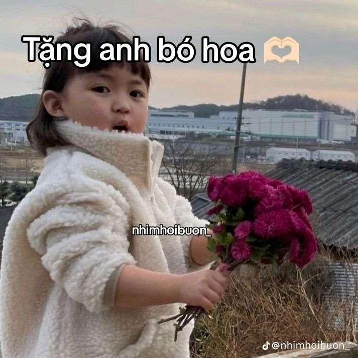 meme cute