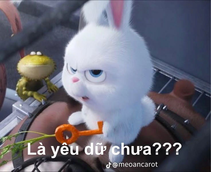meme cute