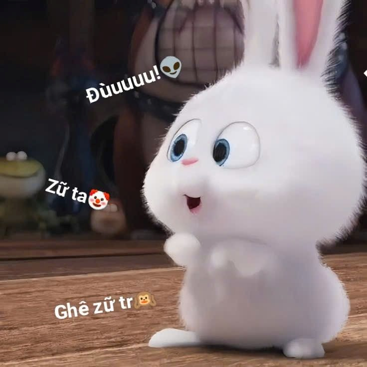 meme cute