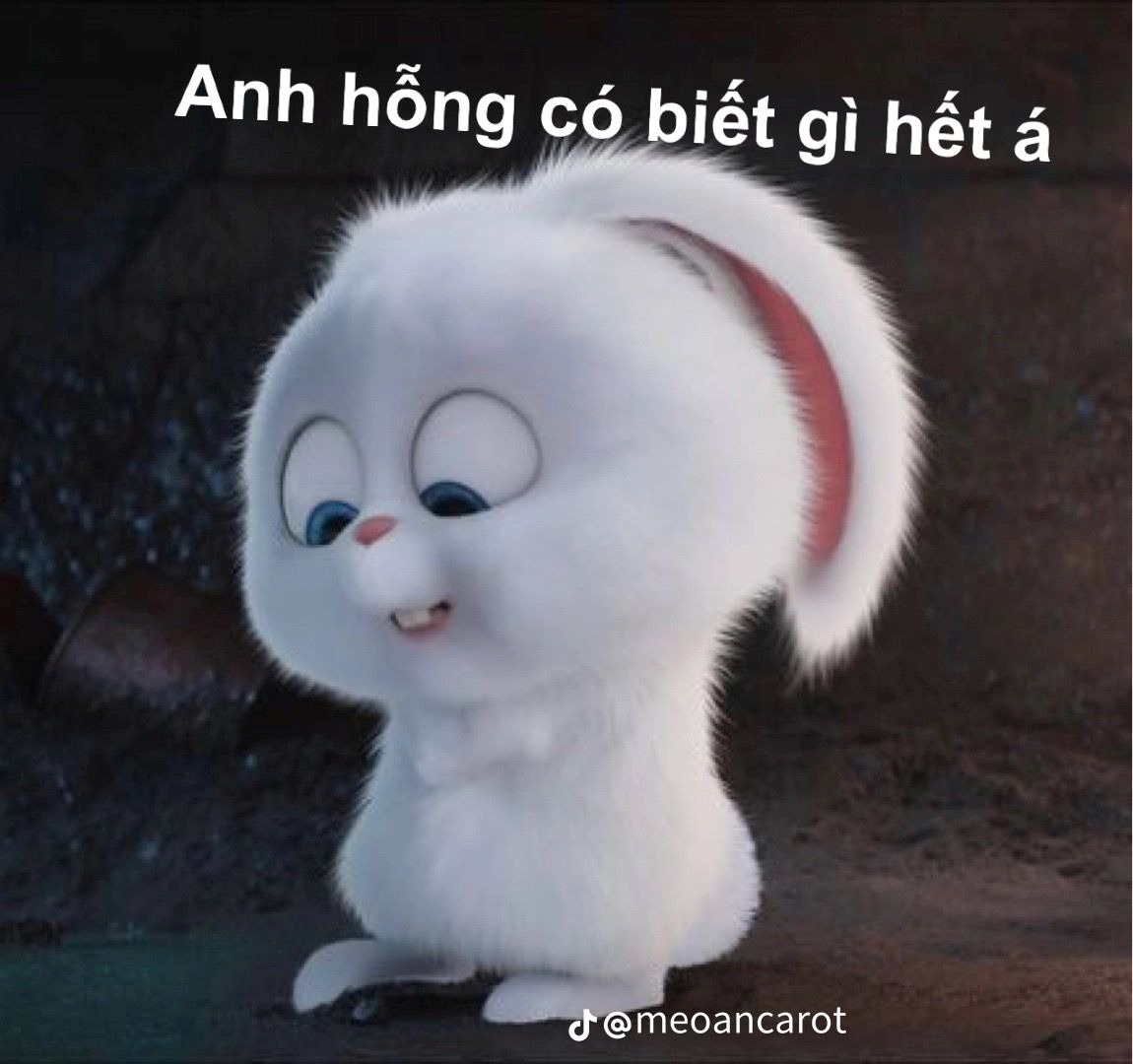 meme cute