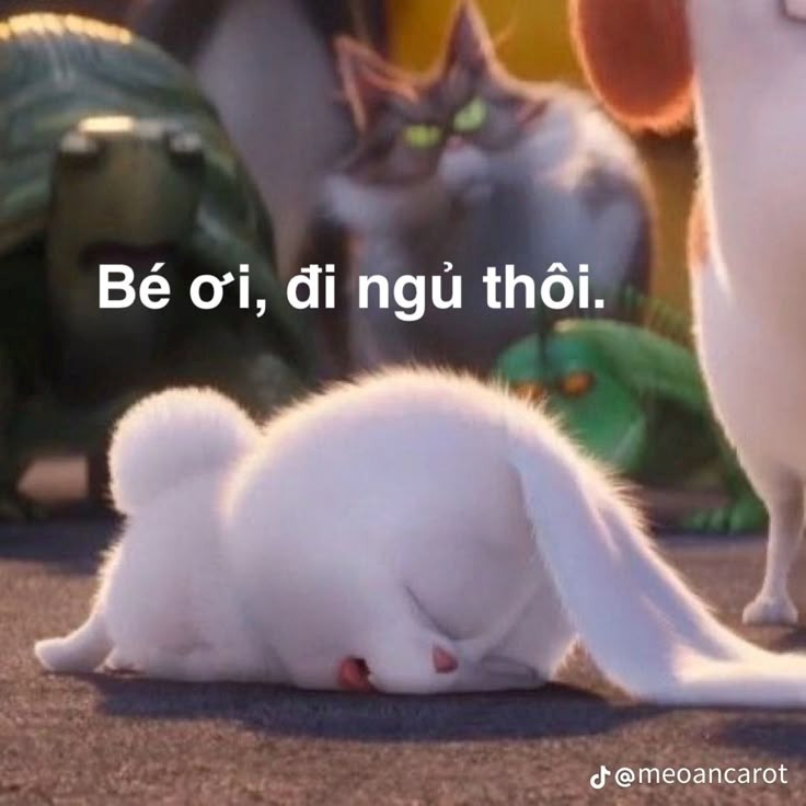 meme cute