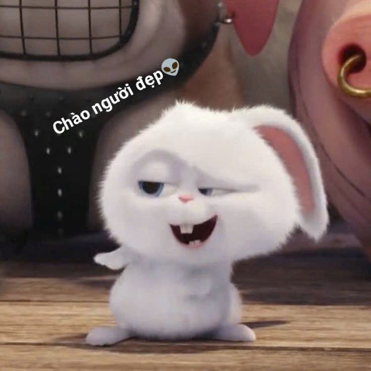 meme cute