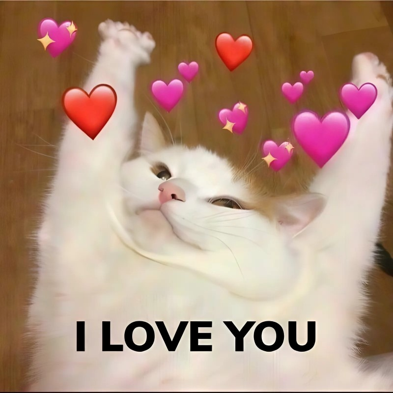 meme cute