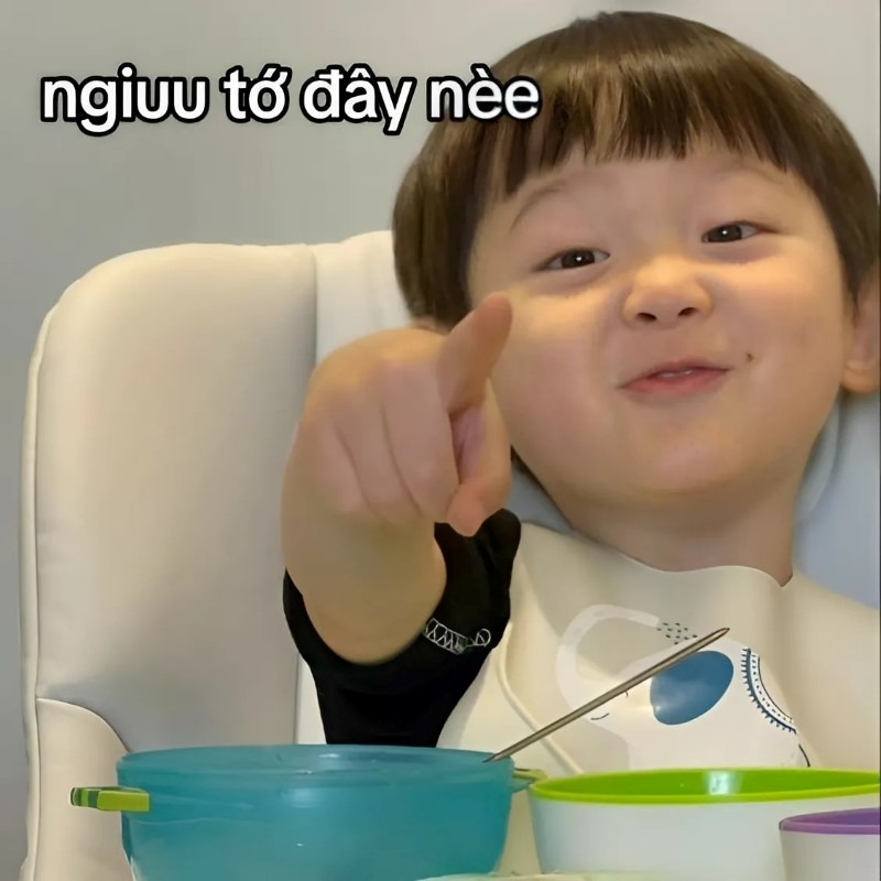 meme cute