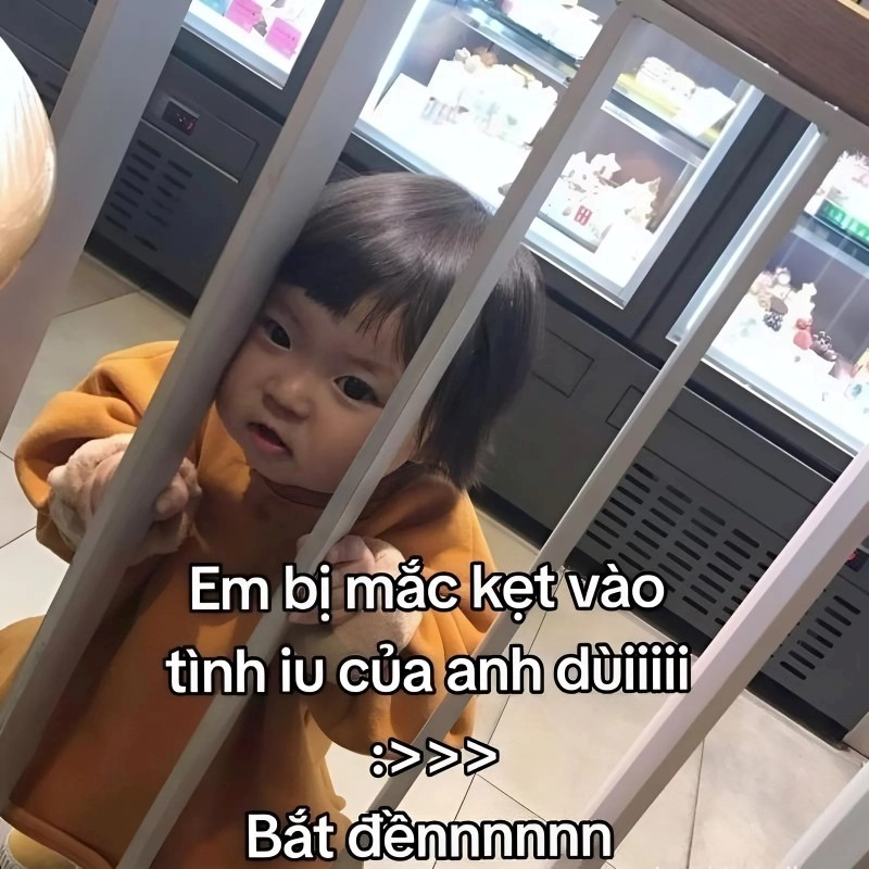 meme cute