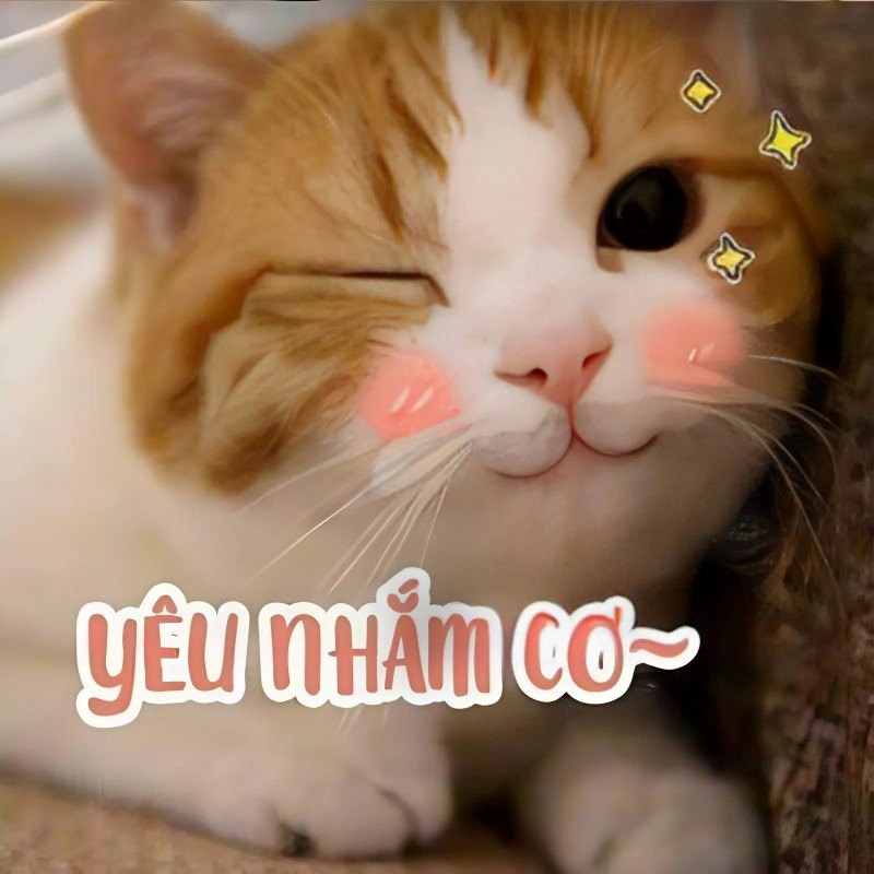 meme cute