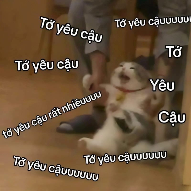 meme cute