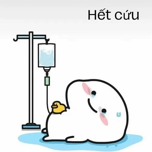 meme hết cứu 