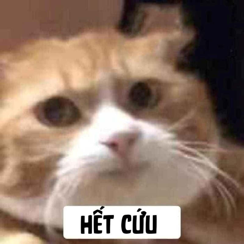 meme hết cứu 