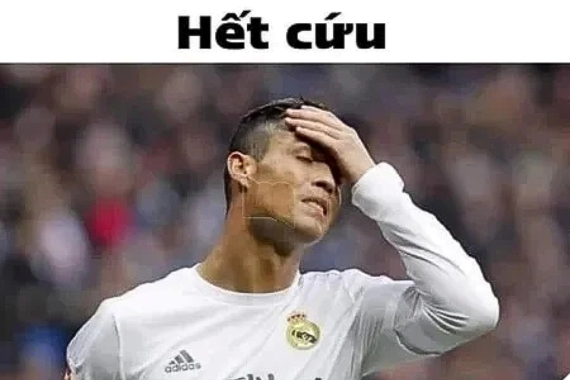 meme hết cứu 