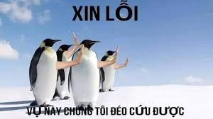meme hết cứu 