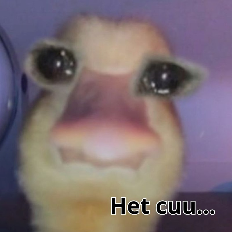 meme hết cứu 