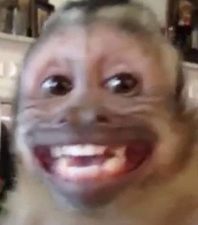 meme khỉ