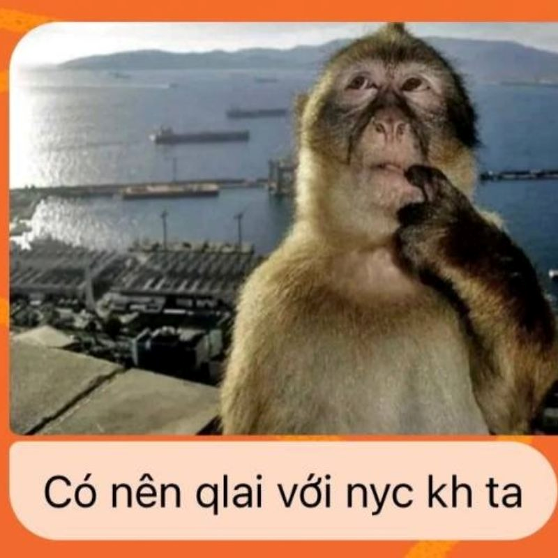 meme khỉ