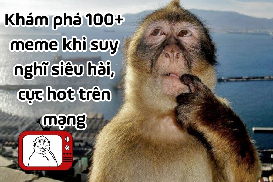 meme khỉ