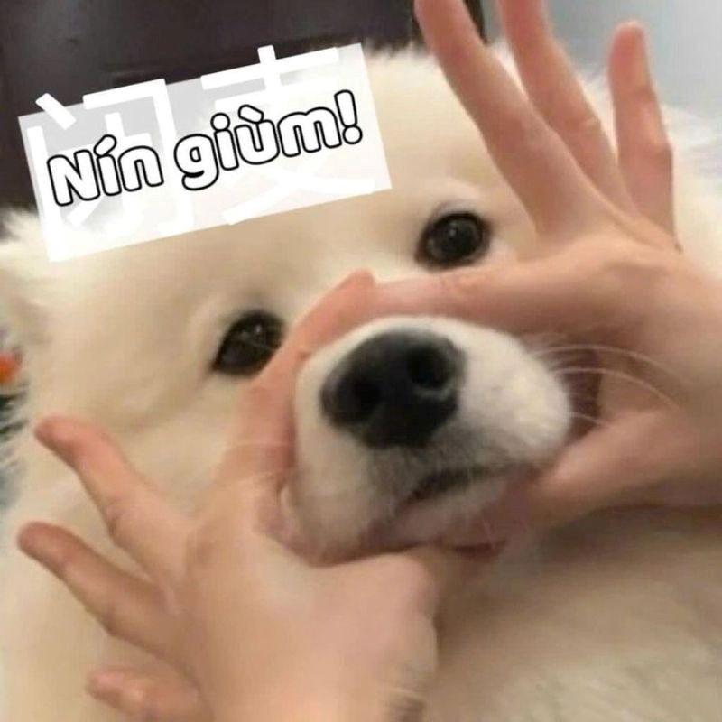Meme Nín