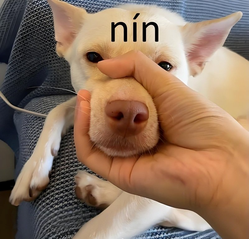 Meme Nín
