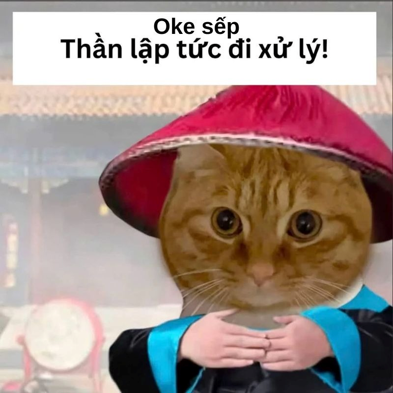 meme ok