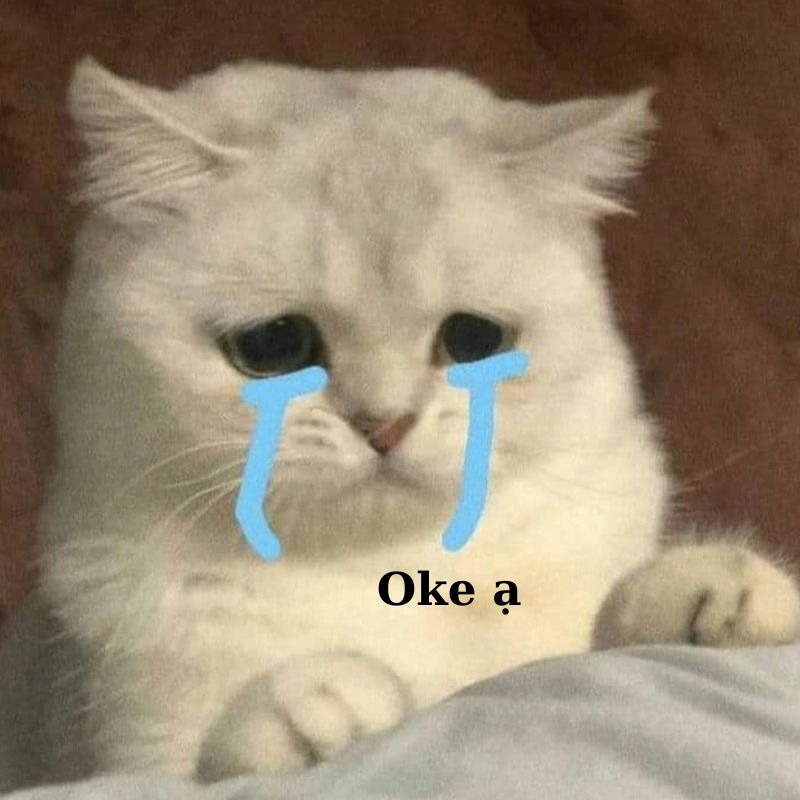 meme ok
