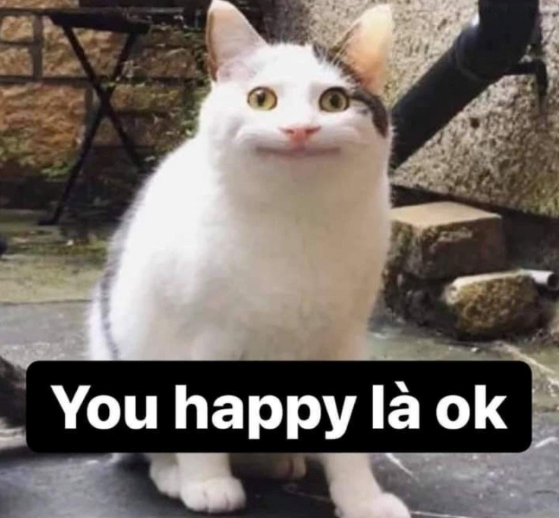 meme ok