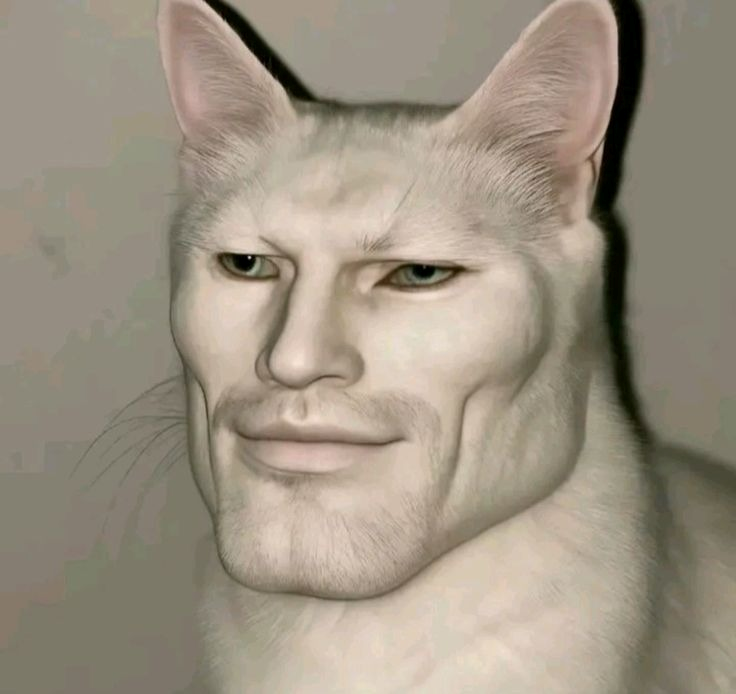  Mewing Meme 