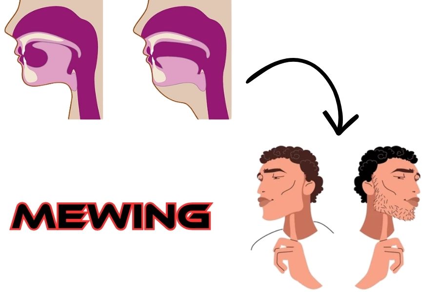  Mewing Meme 